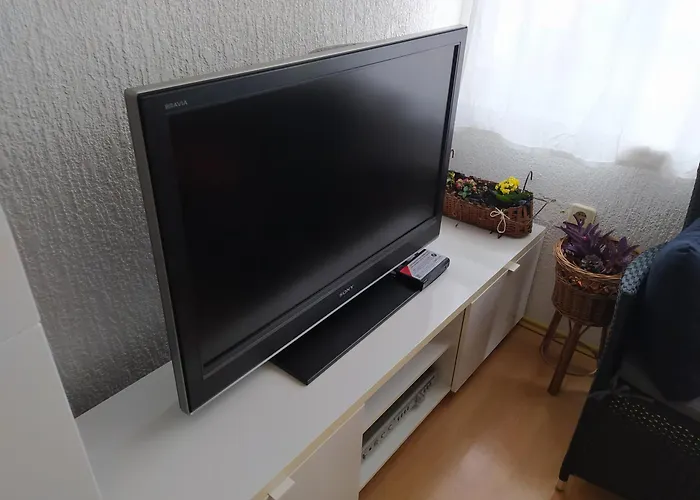 Daire Liburana Rijeka